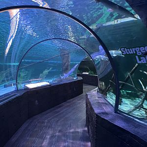 Sturgeon Lake Tunnel