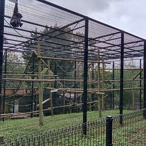 Moloch gibbon enclosure