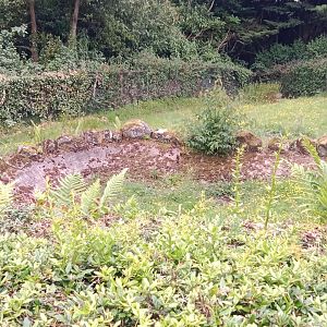 Possible former pool in giant ant eaters enclosure