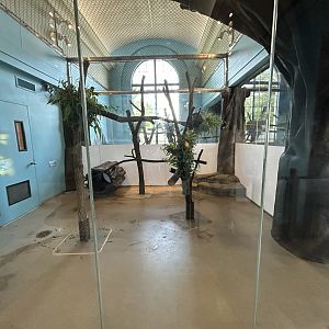 Indoor Koala Exhibit - Hamill Family play Zoo