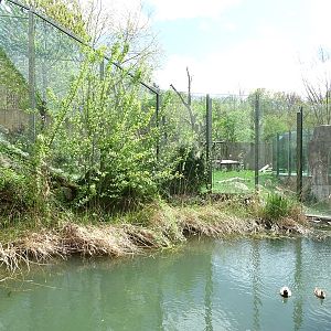 Urwaldhaus: outdoor gorilla enclosure