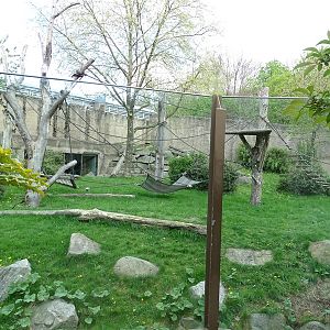 Urwaldhaus: outdoor gorilla enclosure
