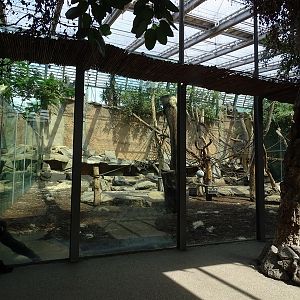 Urwaldhaus: Indoor gorilla enclosure