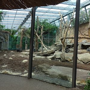 Urwaldhaus: Indoor gorilla enclosure