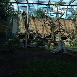 Urwaldhaus: Indoor gorilla enclosure