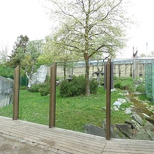 Urwaldhaus: Chimpanzee outdoor enclosure