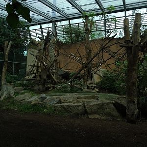 Urwaldhaus: Chimpanzee indoor enclosure