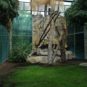 Urwaldhaus: Chimpanzee seperation enclosure (?)