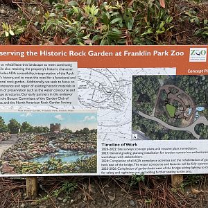 Restoration of historic rock garden