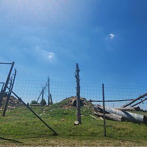 Tennessee Safari Park - Himalayan Tahr exhibit