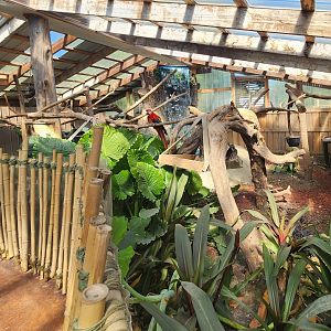 Tennessee Safari Park - Sloth walkthrough exhibit