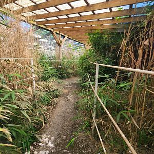 Tennessee Safari Park - Australian aviary pathway