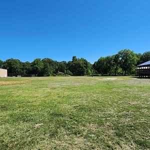 Safari Wild Animal Park - Giraffe yard + feeding deck