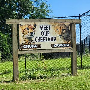 Safari Wild Animal Park - Cheetah signage