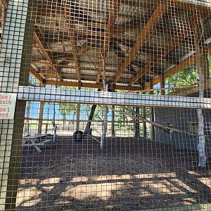 Safari Wild Animal Park - Colobus monkey enclosure