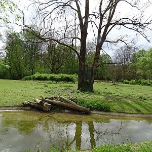 South America paddock