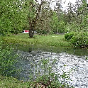 South America paddock