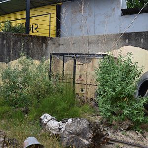 Small Indian Mongoose Enclosure at London, 22nd June 2024