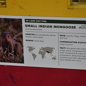 Signage Example at London, 22nd June 2024