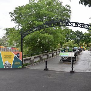 Monkey Valley (Snowdon Aviary) Approach at London, 22nd June 2024