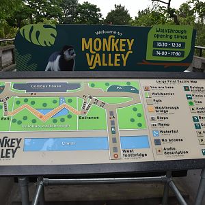 Monkey Valley (Snowdon Aviary) Interpretation at London, 22nd June 2024