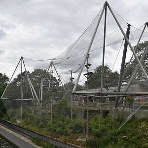 Monkey Valley (Snowdon Aviary) at London, 22nd June 2024
