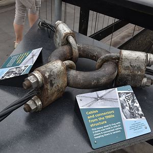 Monkey Valley (Snowdon Aviary) Interpretation at London, 22nd June 2024