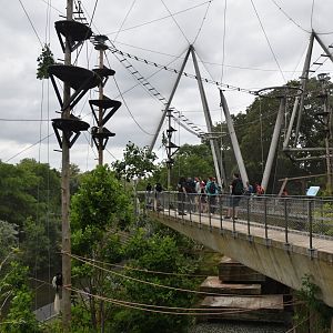 Monkey Valley (Snowdon Aviary) at London, 22nd June 2024