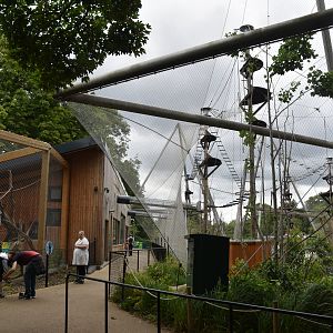 Monkey Valley (Snowdon Aviary) at London, 22nd June 2024