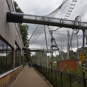 Monkey Valley (Snowdon Aviary) at London, 22nd June 2024