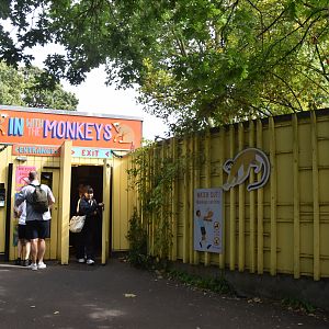 Squirrel Monkey Walkthrough Entrance and Exit at London, 22nd June 2024