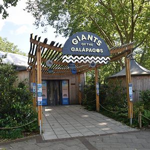 Galapagos Tortoise Enclosure at London, 22nd June 2024