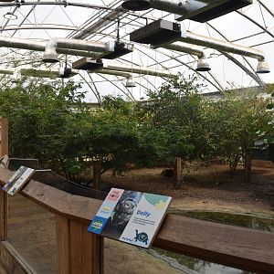 Galapagos Tortoise Enclosure at London, 22nd June 2024