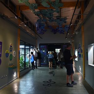 New Reptile House Entrance Corridor at London, 22nd June 2024