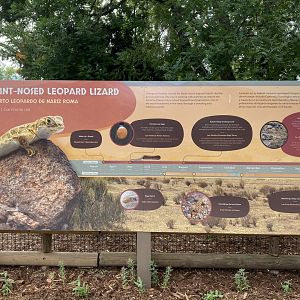 Signage for Blunt-nosed Leopard Lizard