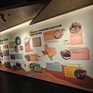 Conservation Stories