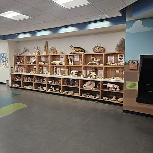 Texas Nature Traders 2