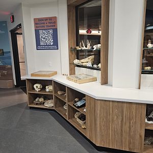 Texas Nature Traders 3