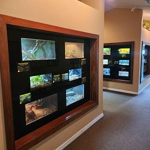 RDC - Snake exhibit hall