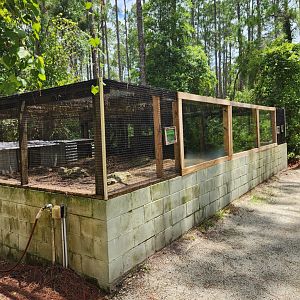 RDC - Tortoise exhibits on outdoor trail