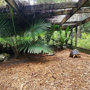 RDC - Radiated Tortoise enclosure