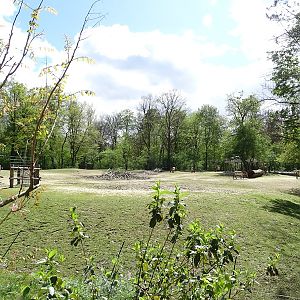 Przewalski's wild horse enclosure