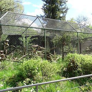 Pallas' cat enclosure