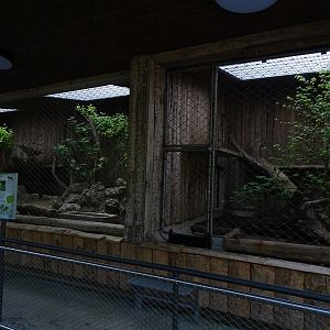 Northern lynx 'indoor' enclosure