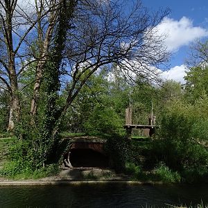 Siberian tiger enclosure