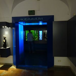 Haus der Natur Salzburg: Entrance to the aquarium section of the museum