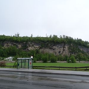 Bus stop in front of the zoo