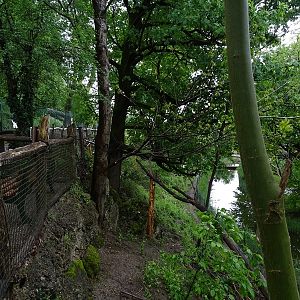 Red panda / muntjac enclosure