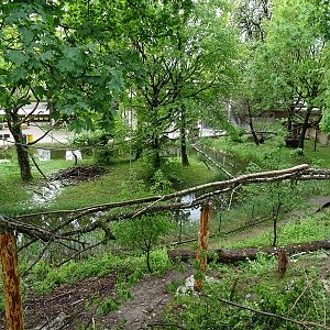 Red panda / muntjac enclosure