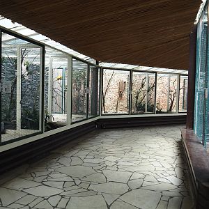 View in the parrot house, 2024-05-23